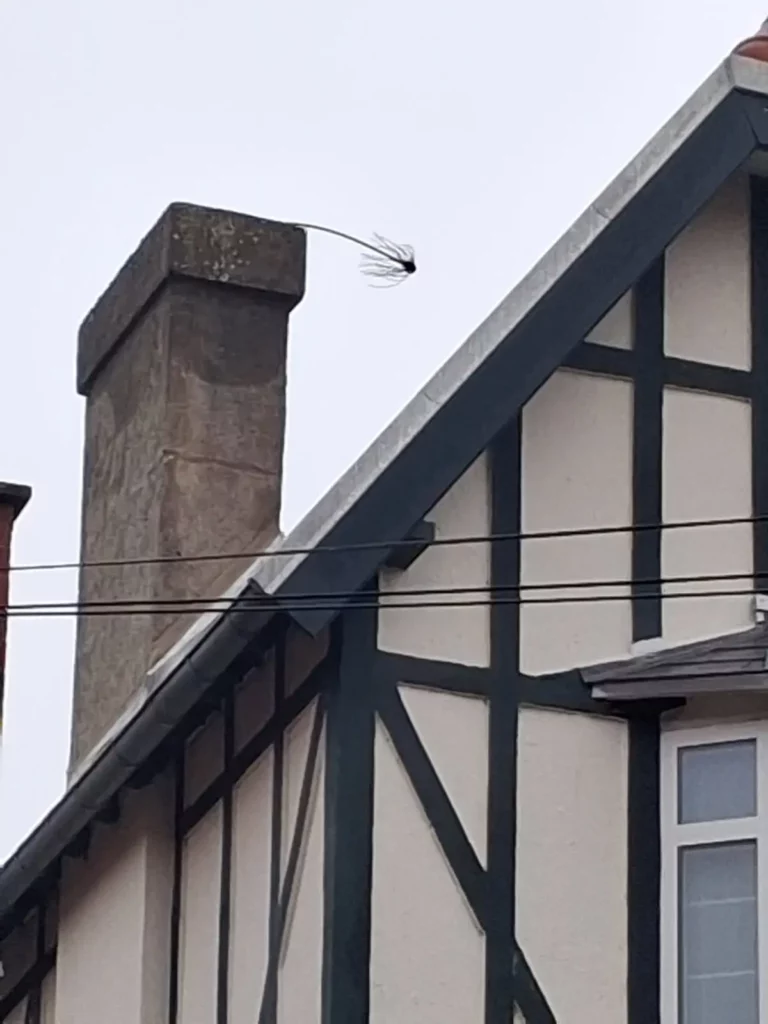 La brosse sortant de la cheminée